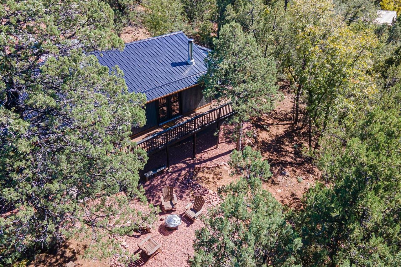 The Pine House - Cozy Mid-Century Modern, Pet-Friendly Exterior foto
